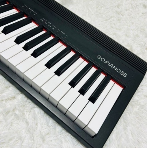Roland GO : PIANO88 (GO-88P) ローランド 電子ピアノ - その他 
