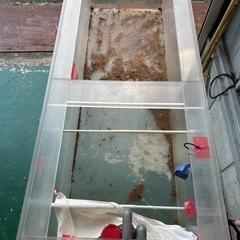 大型爬虫類に水槽