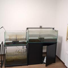 60センチ水槽3個、90センチ水槽1個、水槽台3個まとめて