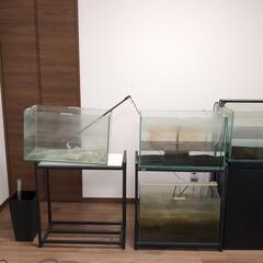 60センチ水槽3個、90センチ水槽1個、水槽台3個まとめて売ります