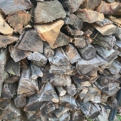 乾燥済　薪