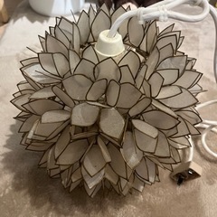 シェルフラワーライト　Shell Flower Lamp シーリ...