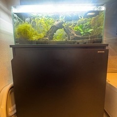 水槽 水槽代 LED フィルター 水草 流木 一式
