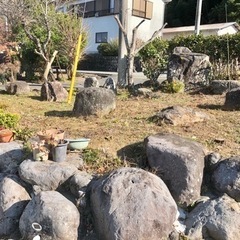 庭石お譲りします。ガーデニング 造園 日本庭園