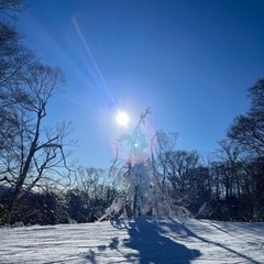 1／５（金）高鷲スノーパーク、ダイナランドの画像