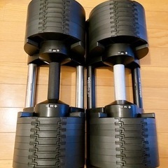 引渡し予定者決定済】フレックスベル可変式32kg×2