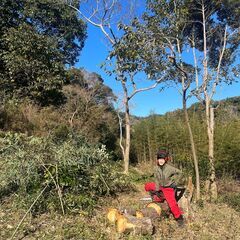 馬森牧場　1/4 竹の片付けを手伝ってください