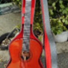 【値下げ】美品です・クラシックギターM-20型：'75寺田楽器製モーリス，ヘッドに彫り物のある美品 美品です・クラシックギターM-20型：'75寺田楽器製モーリス，ヘッドに