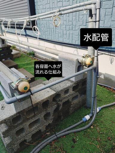 メダカ飼育棚\u0026容器