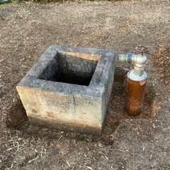 好立地 山林ヴァイスシュヴァルツ 不知火舞SP PSA10