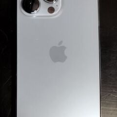 即日発送可 送料520円～ 極美品 iPhone 13 Pro ...