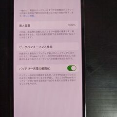 即日発送可 送料520円～ 極美品 iPhone 13 Pro 128GB MLUK3J/A SIMフリー バッテリー残量100% シエラブルー