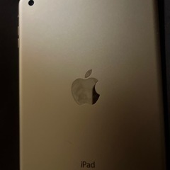 iPad mini