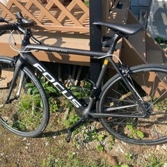 FOCUS IZALCO PRO【東京23区及び50km圏内お届け可能】