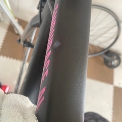 最終値下げ】CANYON EnduraceAL6(Duraaceホイール付)