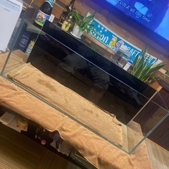 ナミ R スーパーパラレル(コミパラ) OP01-016