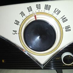 98170850_1