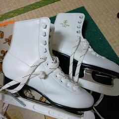 スケート靴22,5