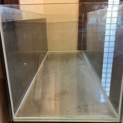 ⭐︎コトブキGEX120センチオールガラス水槽おまけ付き⭐︎