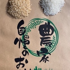 ②令和5産　お米コシヒカリ　玄米（精米も可）