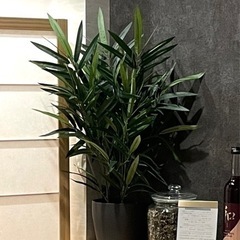 【IKEAイケア/FEJKAフェイカ】屋内屋外OK 竹の観葉植物...