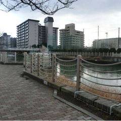 淡水小物釣り！（初心者）大阪、城北川🎣