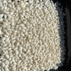 ④もち米▲玄米ではなく精米済み10kgくらい！餅米！お米！