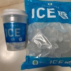 氷　1.1kg+200g