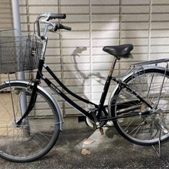 PalmeD‘or変速自転車