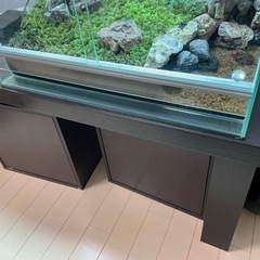 苔テラリウム・水槽】60×45×45 現況のままお渡し 水槽