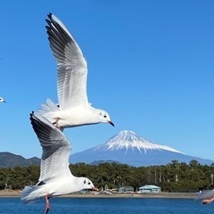 自然の力浄化カフェ会in浜松の画像