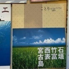 沖縄の本