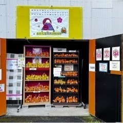 オレンジロード沿いに100円販売してます！