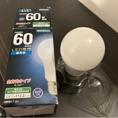 【電球】白熱電球60形相当　昼光色