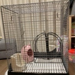 チンチラ　飼育セット