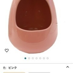 チンチラ　飼育セット