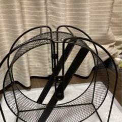 チンチラ　飼育セット