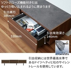 美品 パモウナ  WVテレビボード ウォールナット ロータイプ Pamouna