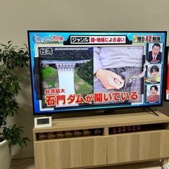 55型テレビ　アイリスオオヤマ