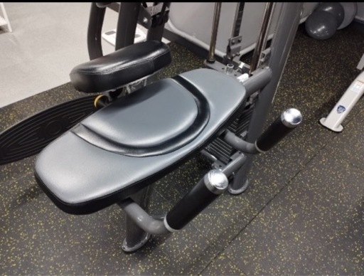 sports art社製 ヒップトレーニングマシン グルート (サンマルチノ  