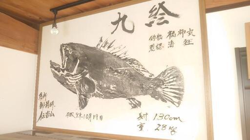 見に来てください！圧巻！『クエの魚拓とその時の釣り針』私が御前崎で実際に釣ったものです❗◇サイズ155✕105✕3