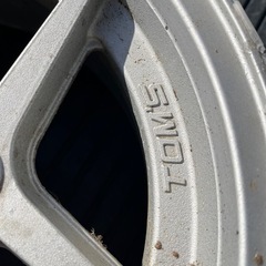 当時物イゲタトムス