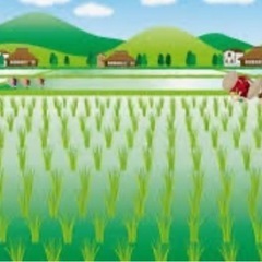 和歌山市の北西部で耕作放棄地、畑、水田を探しています。