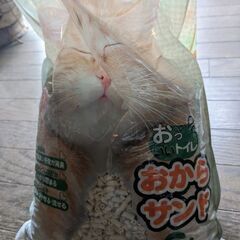 ハムスター🐹用品いろいろヒーター等