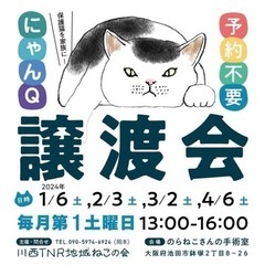 1月6日池田市猫譲渡会