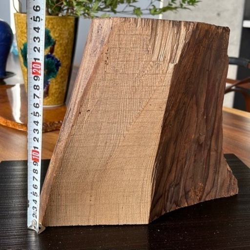 埋もれ木　烏木　切り落とす素材　埋もれ神代杉 埋もれ木 烏木 切り落とす素材 埋もれ神代杉