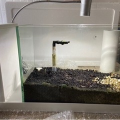 GEX アクアユーワイド　水槽　セット