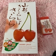 決定★山形土産に最適★山形🍒きらら1箱➕1