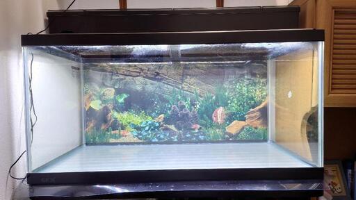 90cmフチあり水槽ライトフィルター台セット