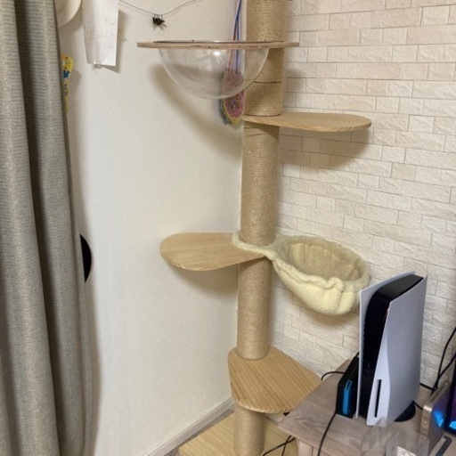 キャットタワー 引き渡し者決定